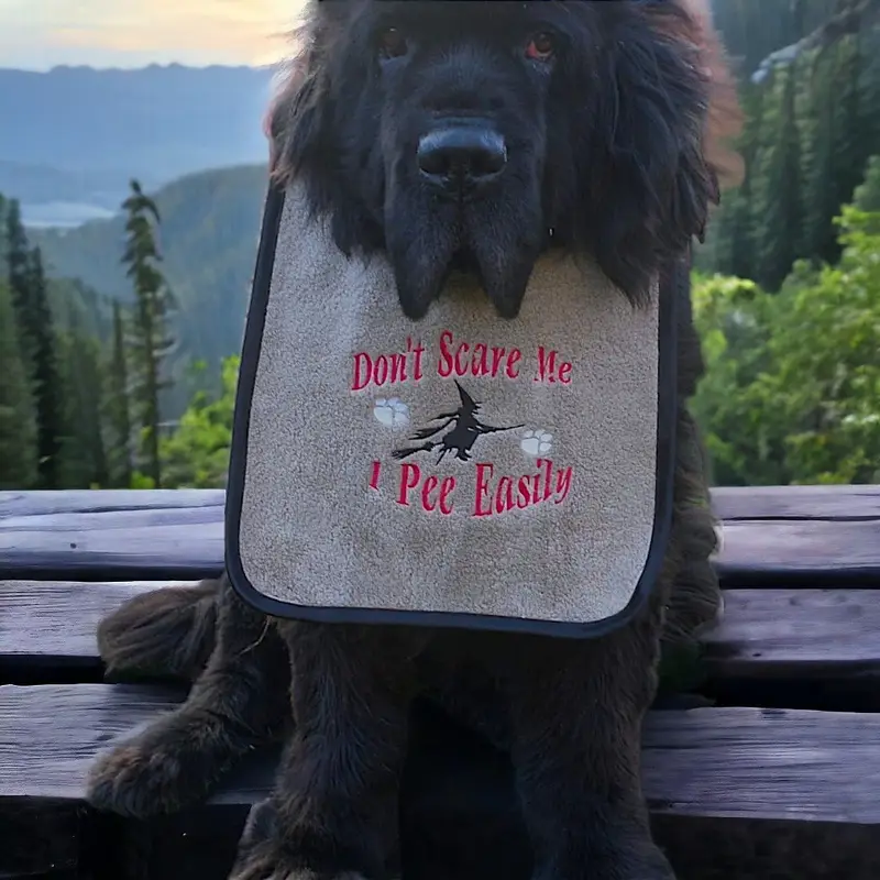 Halloween ‘Dont scare me’ dog bib, photo 6