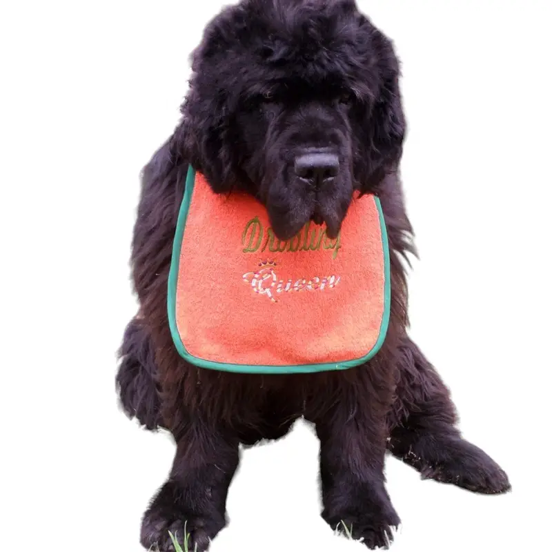 Royalty King/Queen dog bib: drooling queen