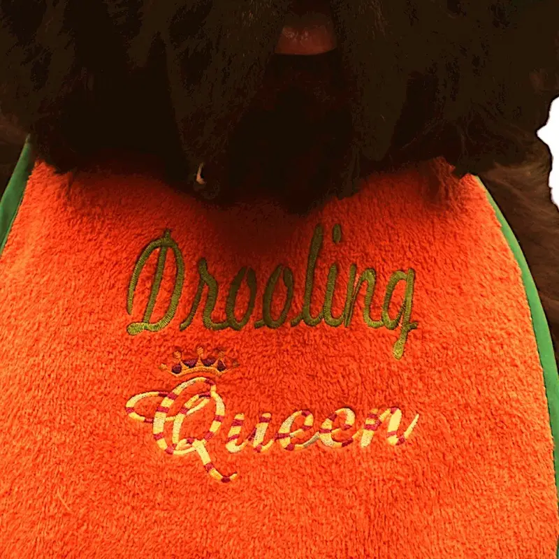 Royalty King/Queen dog bib: drooling queen