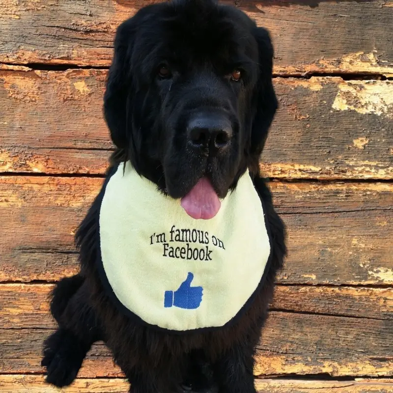 Famous on Facebook dog bib, photo 11