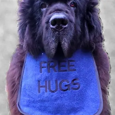 Personalised ‘Free Hugs’ Dog Bib: fh3