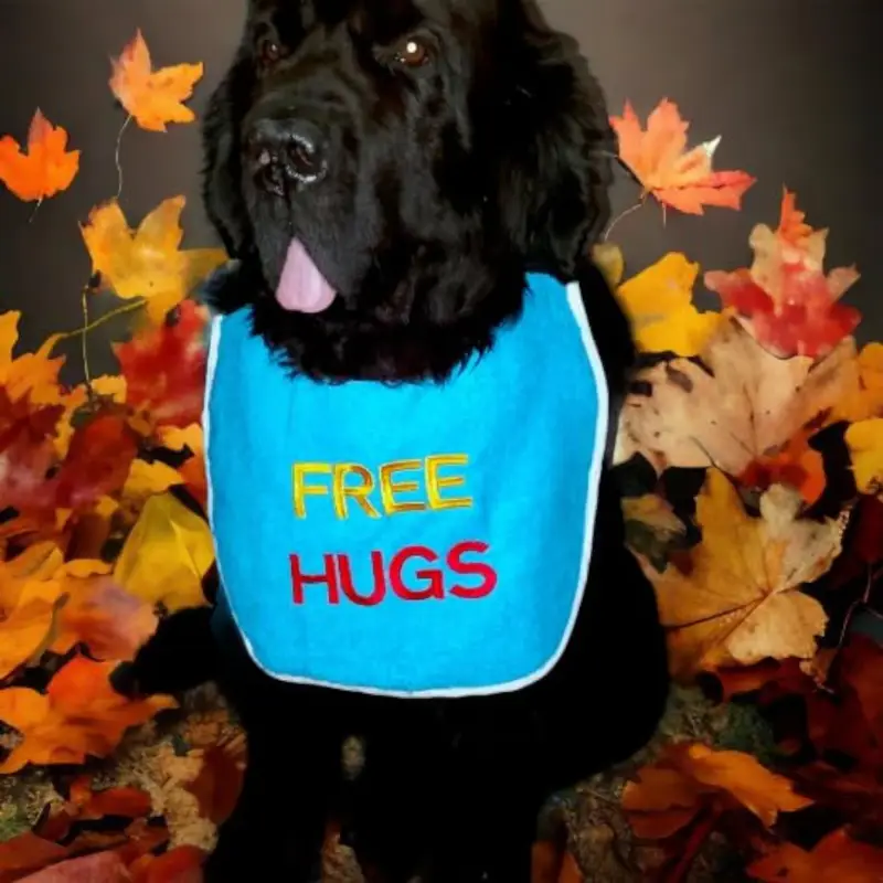 Free Hugs dog bib 2 coloured: fh4