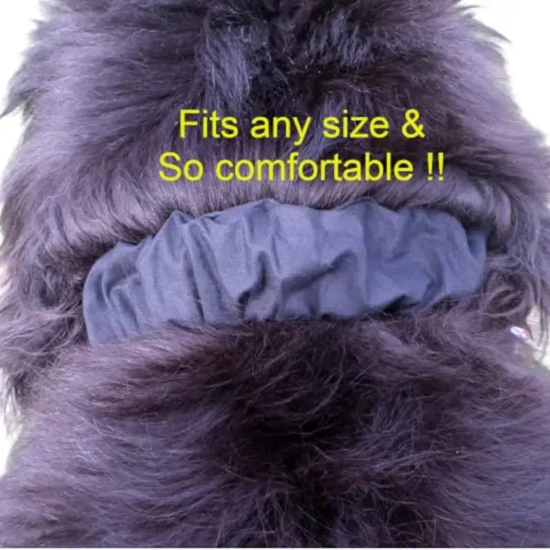Personalised dog bib: fh5