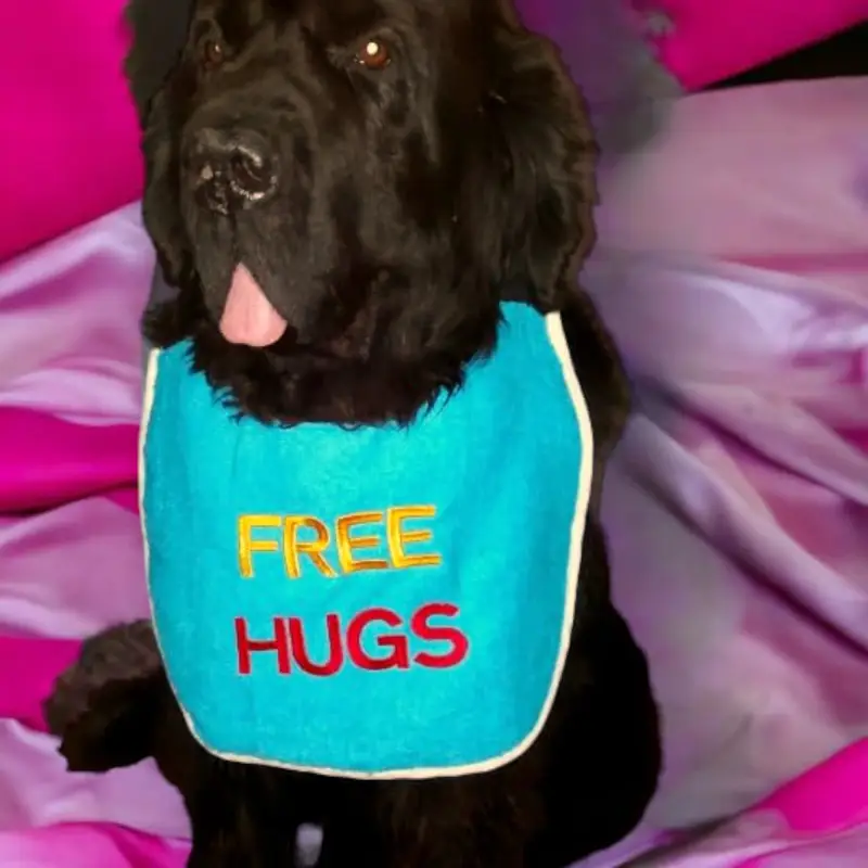Free Hugs dog bib 2 coloured: fh6