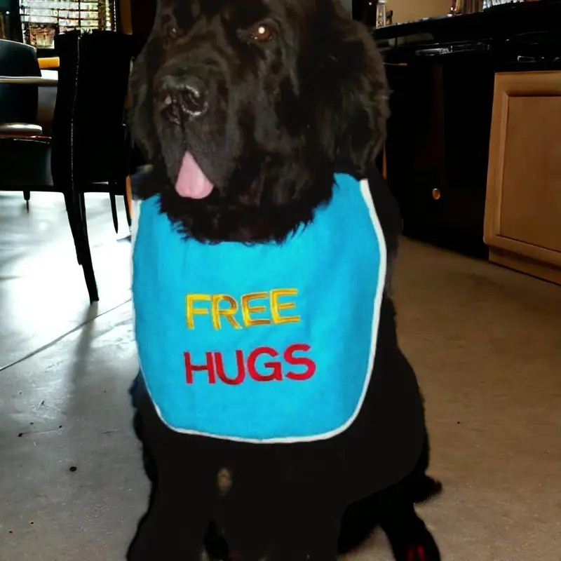 Free Hugs dog bib 2 coloured: fh8