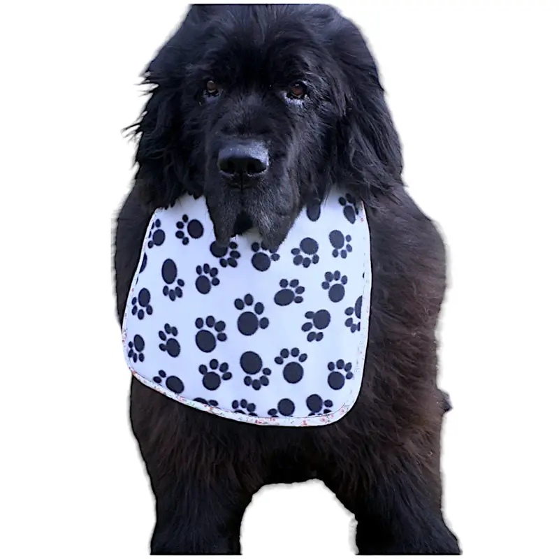 Fleece dog bib, photo 3