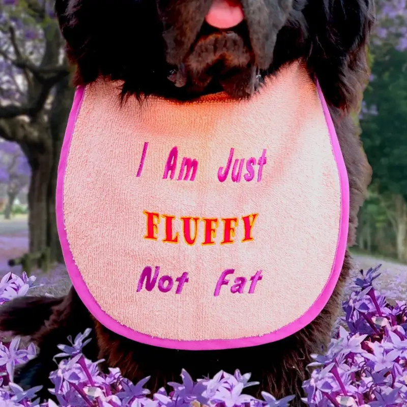 Fluffy Not Fat, photo 6