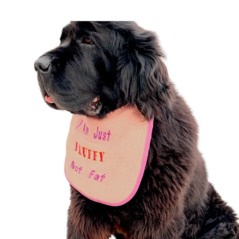 Fluffy Not Fat, photo 5