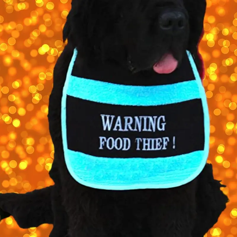 food thief printed bib