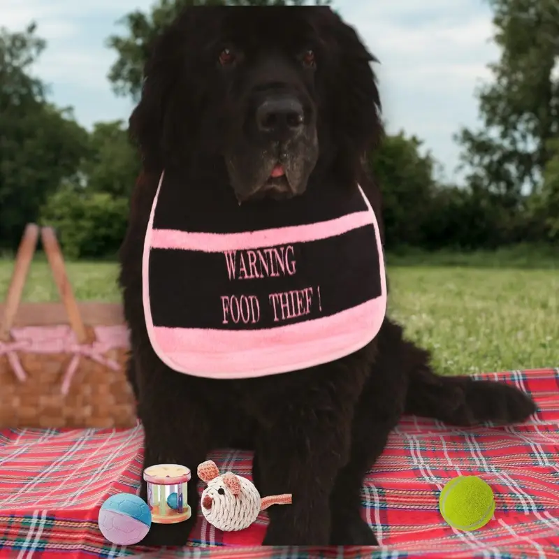food thief dog bib