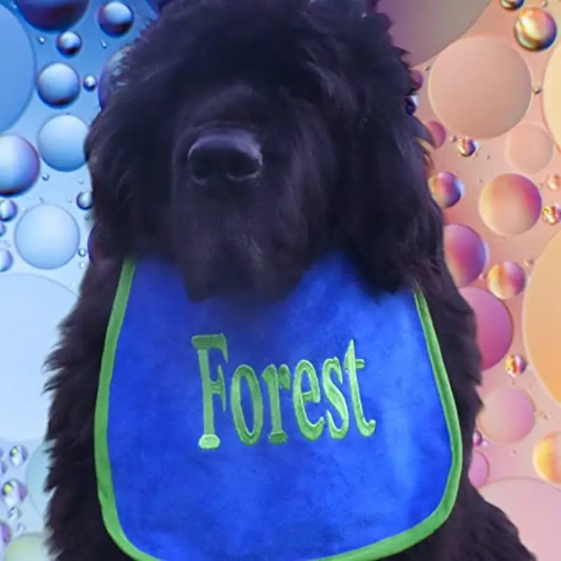 Personalised with your dog’s name bib: forest