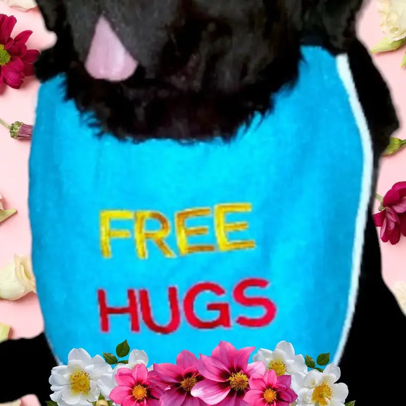 Free Hugs dog bib 2 coloured, photo 6