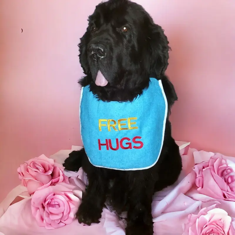 Free Hugs dog bib 2 coloured, photo 5