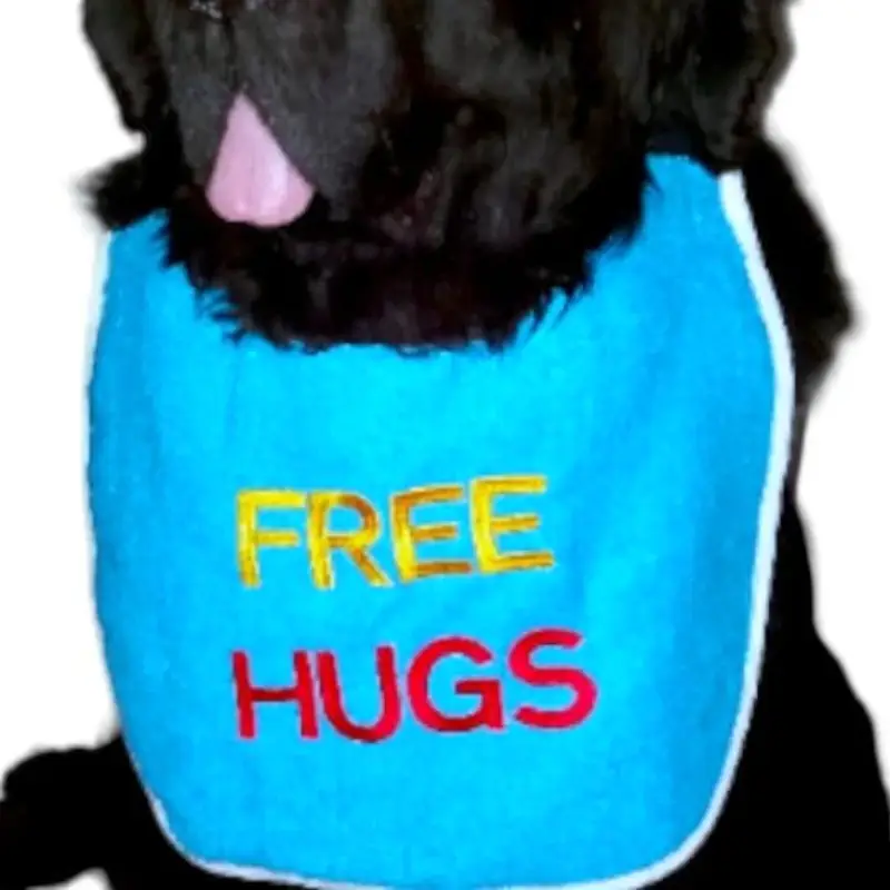 Free Hugs dog bib 2 coloured, photo 11