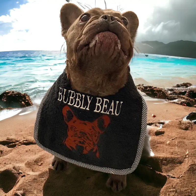 French bulldog custom tailor made bib: frenchie