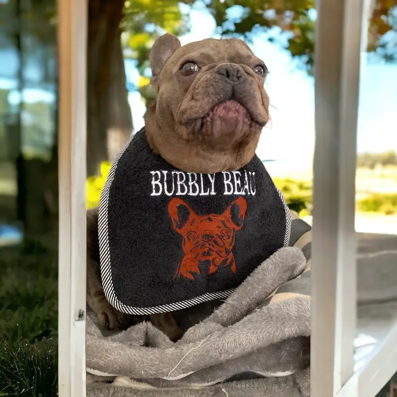 French bulldog custom tailor made bib: frenchie