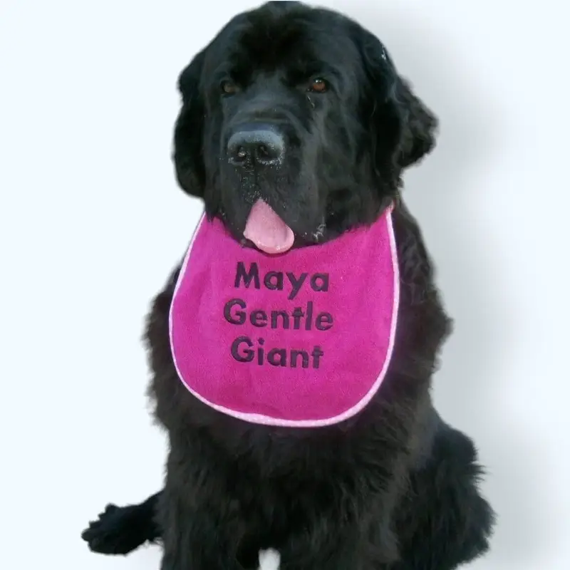 Personalised dog bib with name/wording: gentle