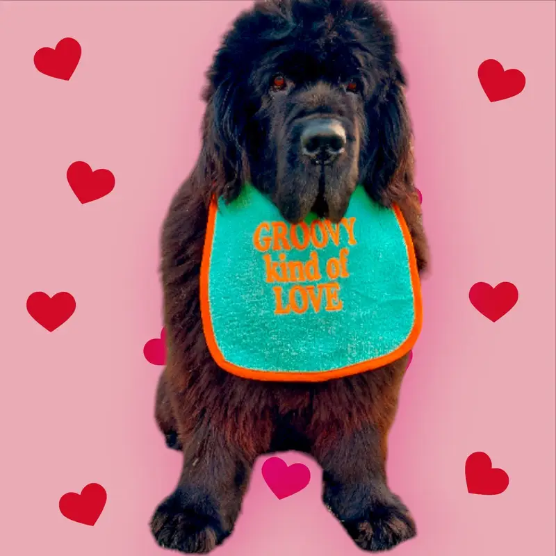 Groovy kind of Love customised & personalised dog bib, photo 4