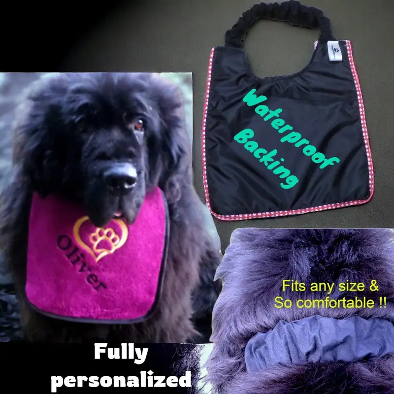 Heart & Paw Personalised Dog Bib: heart paw name