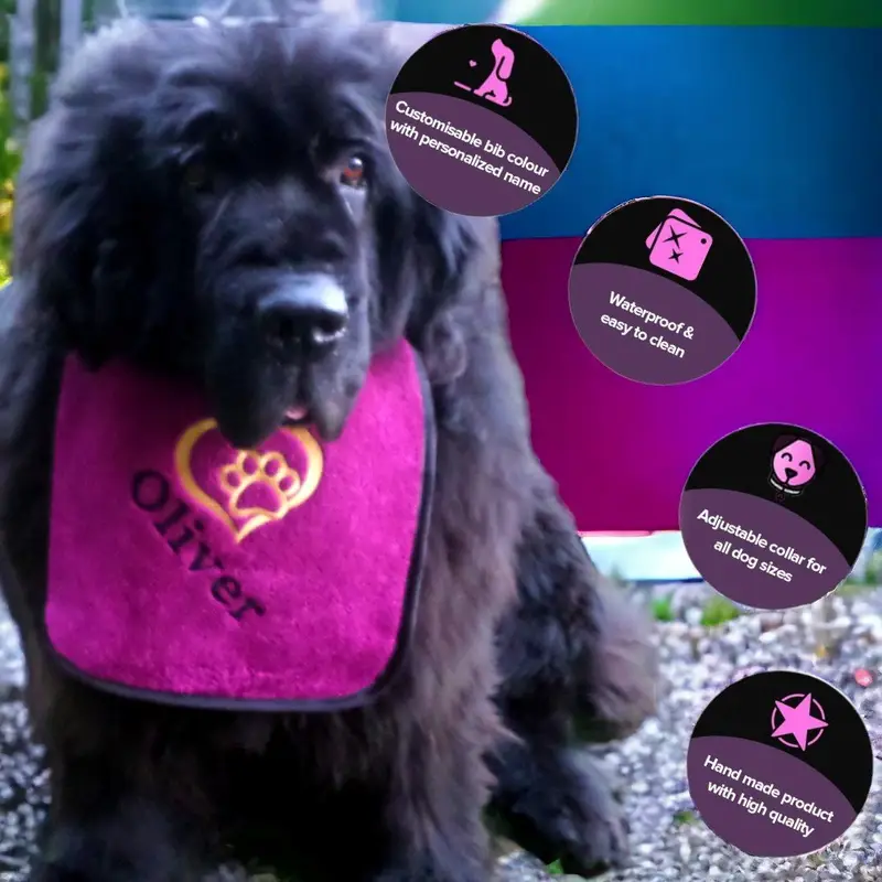 Heart & Paw Personalised Dog Bib: heart paw name