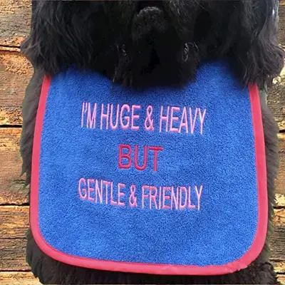 Huge & heavy sarcastic & cute dog fashionable bib, photo 12