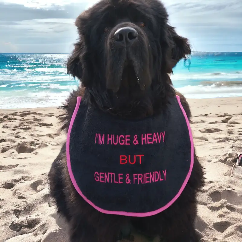 Huge & heavy sarcastic & cute dog fashionable bib: huge and heavy