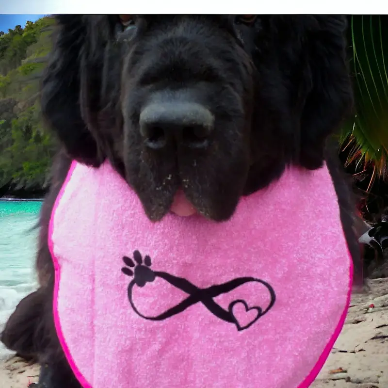 Infinity design dog bib, photo 10