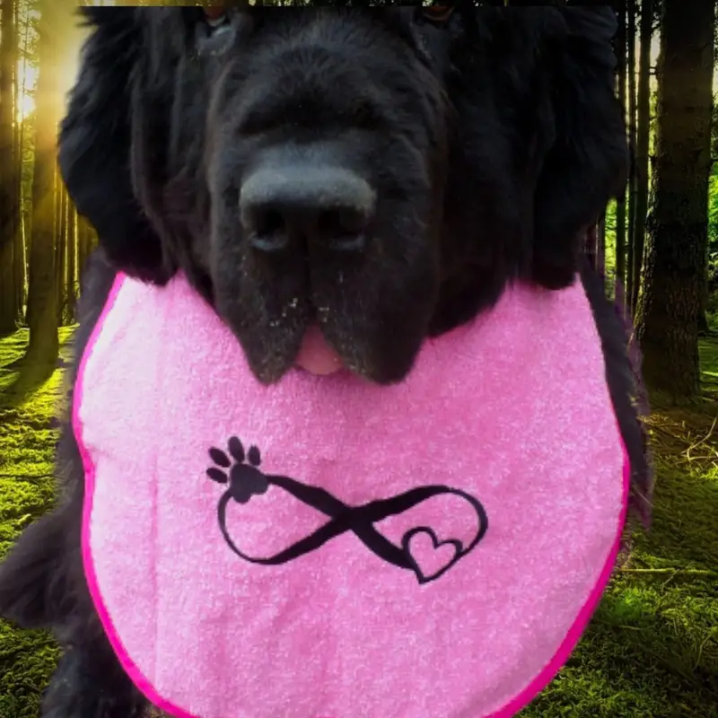 Infinity design dog bib, photo 5
