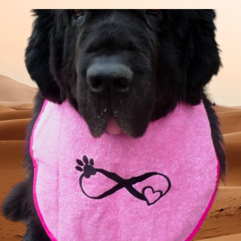 Infinity design dog bib, photo 9