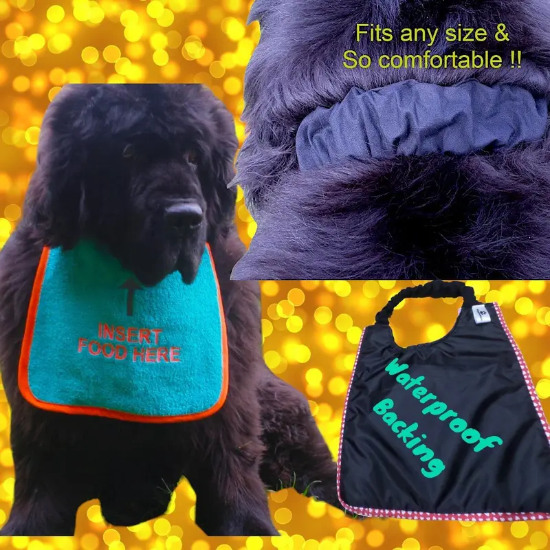 Custom ‘INSERT FOOD HERE’ Dog Bib, photo 6