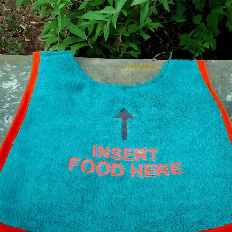 Custom ‘INSERT FOOD HERE’ Dog Bib: insert food herer