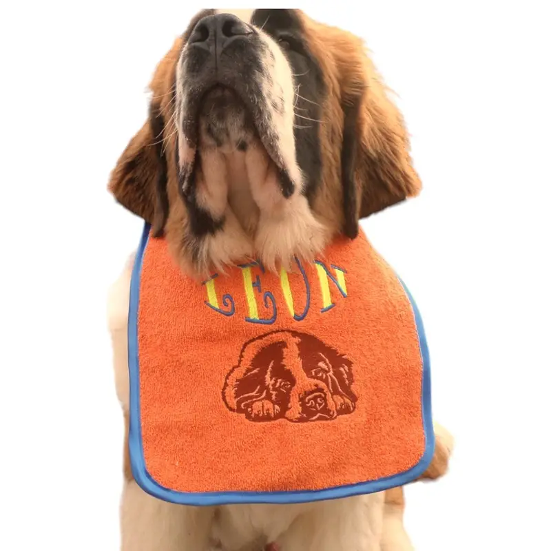 Customisable Saint Bernard Drool Bib: leon