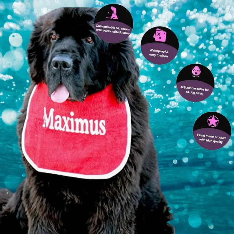 Personalised dog bib with name/wording: max