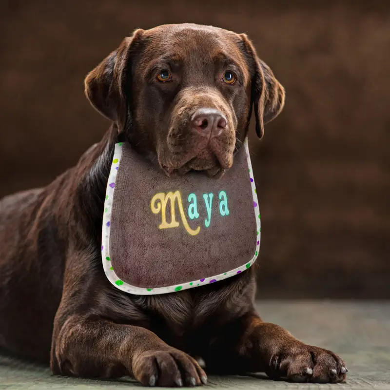 Neon-Chic Personalised Dog Bibs: maya