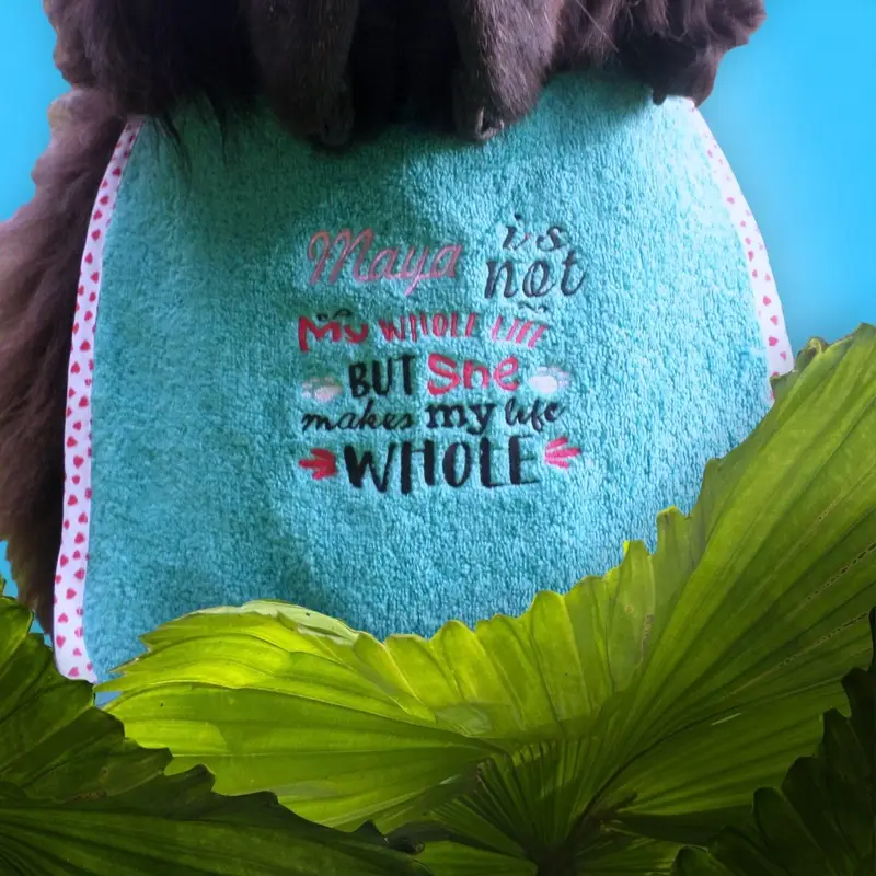 Exclusive 4 coloured bib: maya my whole life