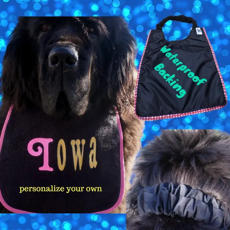 Neon-Chic Personalised Dog Bibs, photo 6