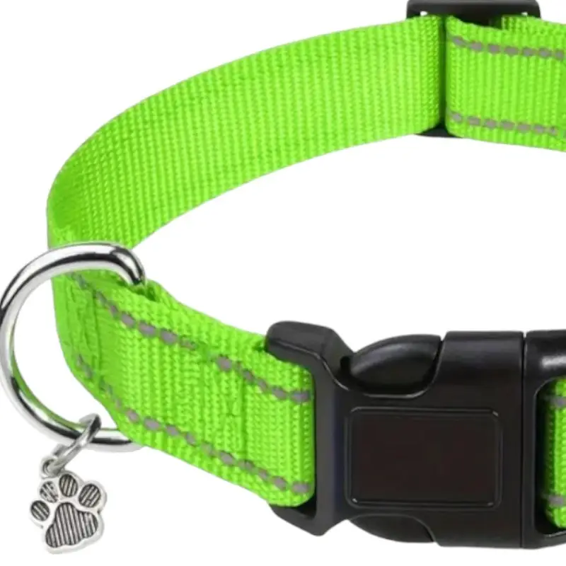 Nylon Strong Dog Collar with reflective stripes & pendant (Neon Green), photo 2