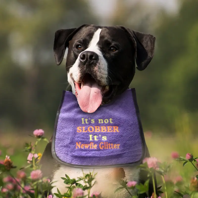 Newfoundland Dog Bib: newfie