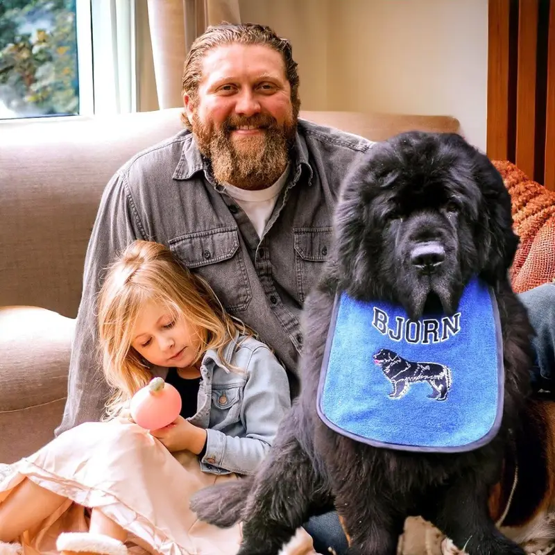 newfy room photo