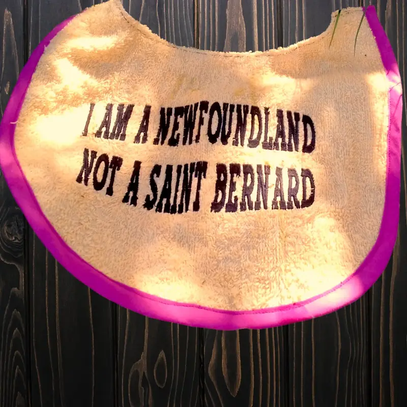 I am a newfoundland customised dog bib: newfy