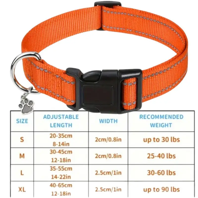 Orange Dog Collar, photo 3