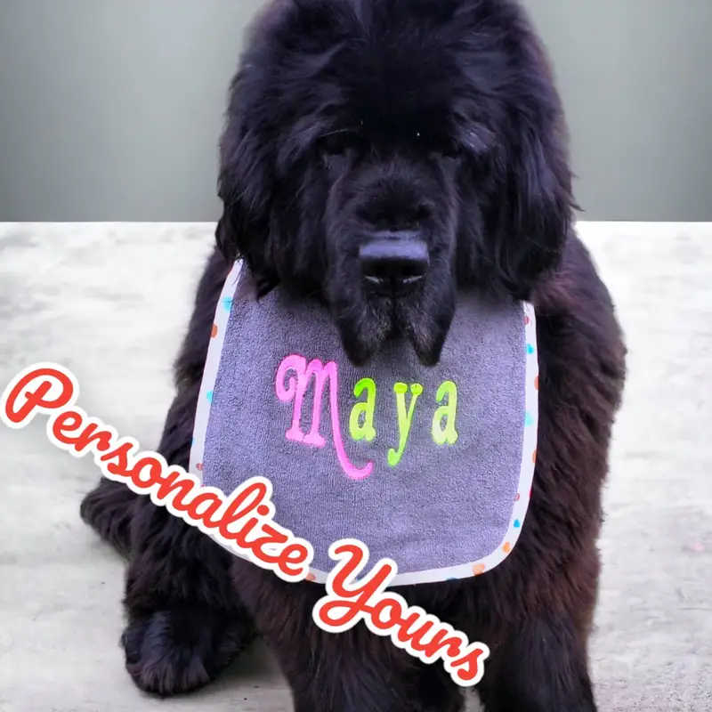 Neon-Chic Personalised Dog Bibs: p2