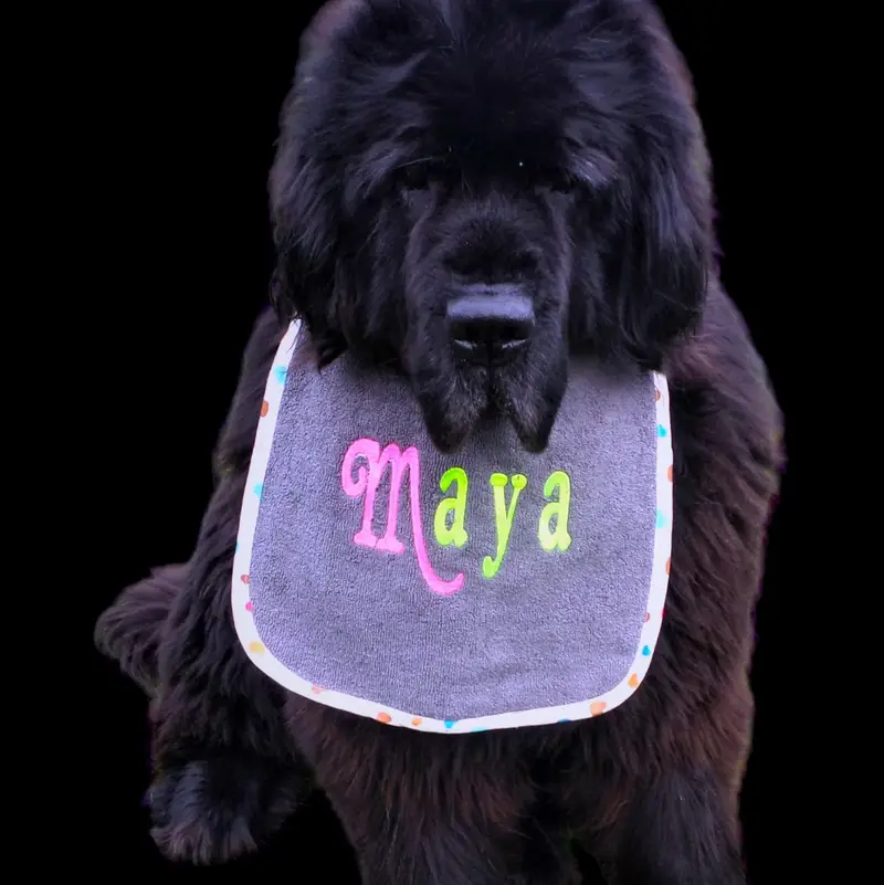 Neon-Chic Personalised Dog Bibs: p7