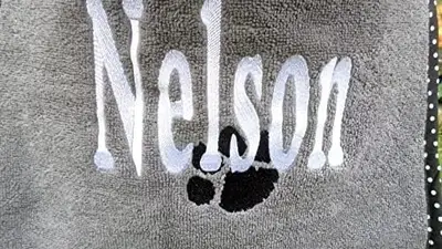 Name with paw bib, photo 7