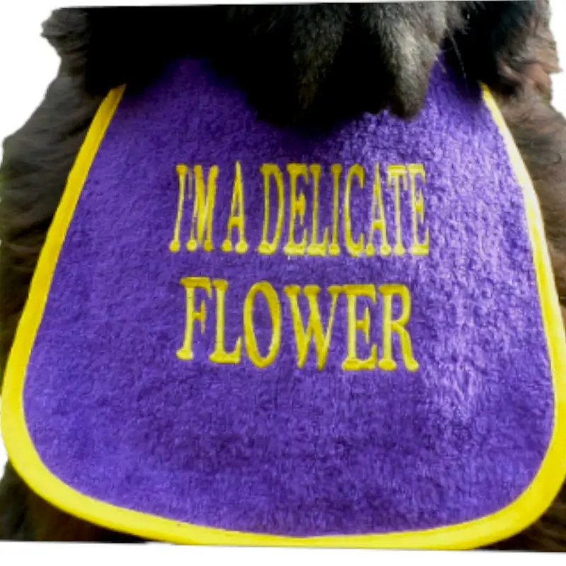 Enchanting ‘DELICATE FLOWER’ Cute Dog Bib, photo 13