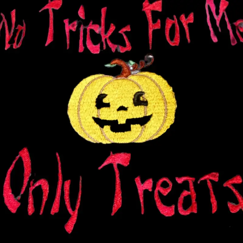 Halloween ‘No tricks for me Only treats’ dog spooky bib, photo 3