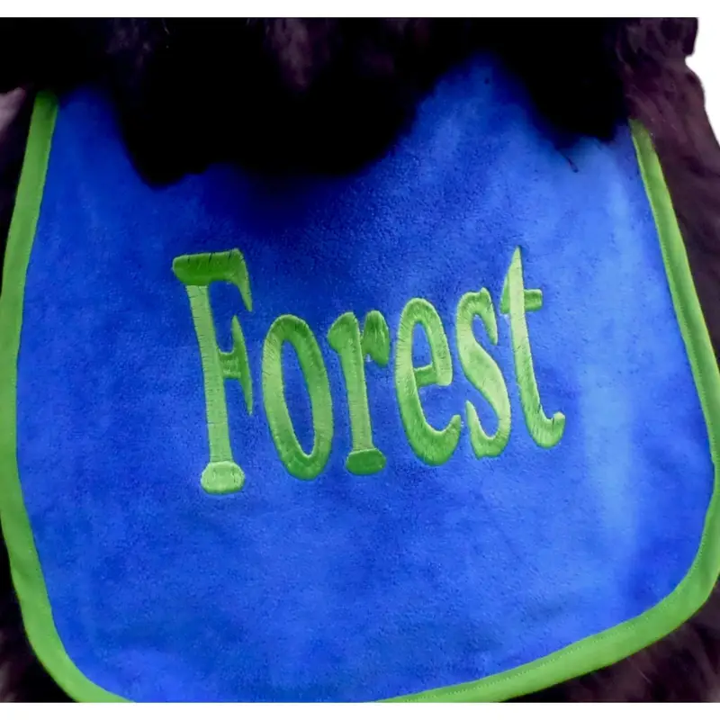 Personalised with your dog’s name bib, photo 8