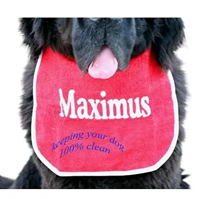 Personalised dog bib with name/wording, photo 6