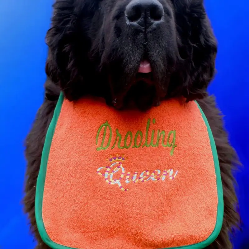 Royalty King/Queen dog bib, photo 10