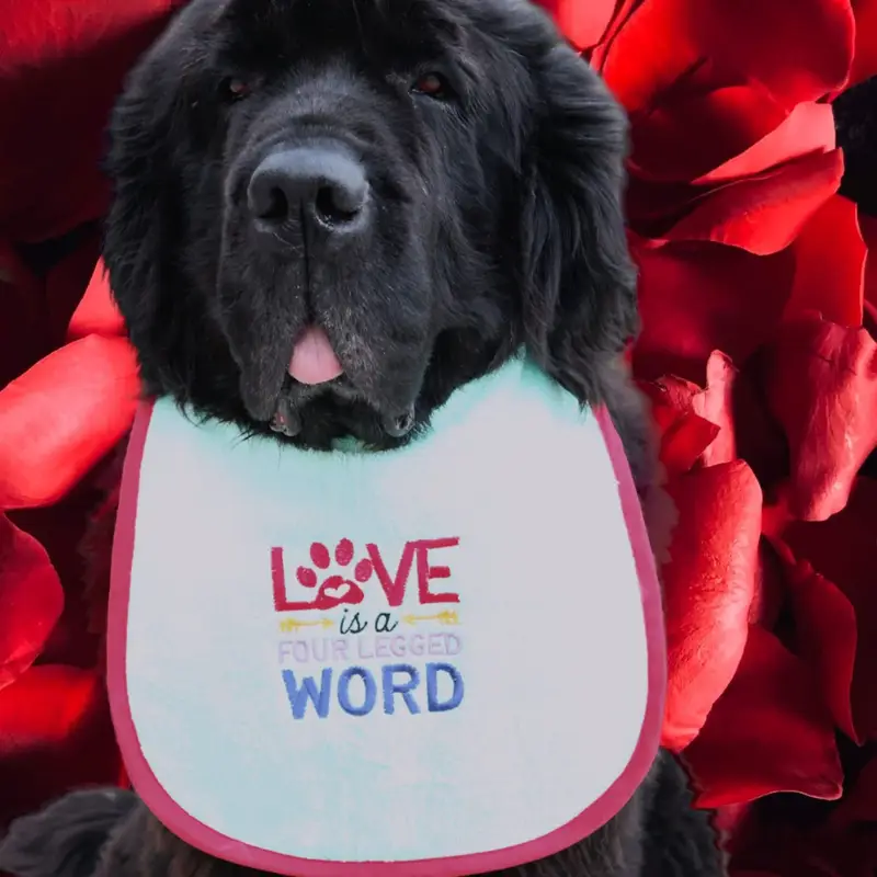 Love is a 4 legged word dog bib, photo 3